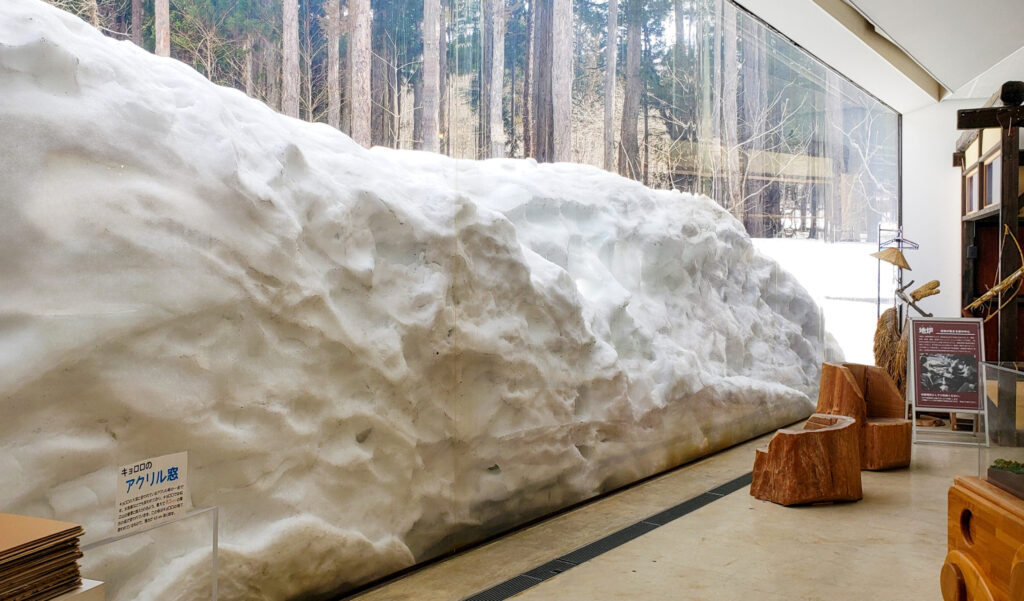 十日町市立里山科学館 越後松之山「森の学校」キョロロ